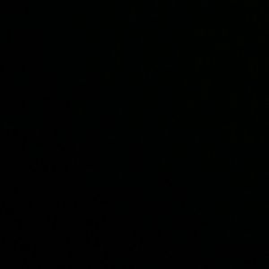 Meet your Posher, Leo